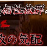 腐敗の気配と相性抜群！新這いずり構成貞子がヤバい【DBD】