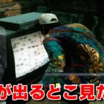 テレビから出てくる貞子を出待ちしてみた-Dead by Daylight【EXAM】