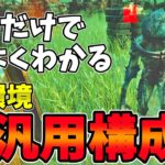 【DBD】困ったらコレ！新環境の徒歩キラー全部に合う超汎用構成 dead by daylightキラー実況【#286】