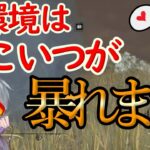 【DBD/新環境のパーク構成】新環境このキラーにこのパーク構成強すぎん？？【プレイグ（キラー）でDead by Daylight】