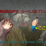 ブリンク攻撃回数世界ランカーによるブリンク解説2＃DBD＃DBDナース＃ブリンク解説＃ナースコツ