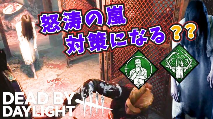 【DBD】貞子パーク『怒涛の嵐』対策に『是正措置』持っていった結果【デッドバイデイライト】女性実況 787