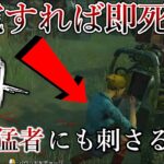 【DbD】キラーパーク対策のカウンター構成！サバイバーの連携に悩まされているキラーはこれを付けろ！【デッドバイデイライト】