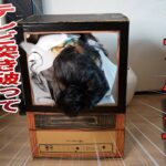 リアル貞子がテレビを突き破って生存者をビビらせまくる　デッドバイデイライト　#249