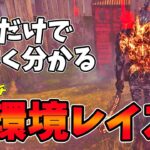 【DBD】新環境でレイスの鉄板構成の解説 dead by daylightキラー実況【#289】