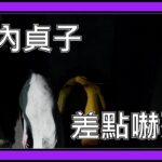 【黎明死線DBD】Jackfu 聽說這張圖是貞子最恐怖的一張地圖  不知道殺手到底會從哪裡出現?