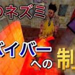 【DBD】モバイル版DBD初心者のチェイス1