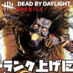 【DbDモバイル】初心者キラーが赤帯ランクへ行く2日目【DbDM】【Dead by Daylight Mobile】  #DbDモバイル　#dbdm