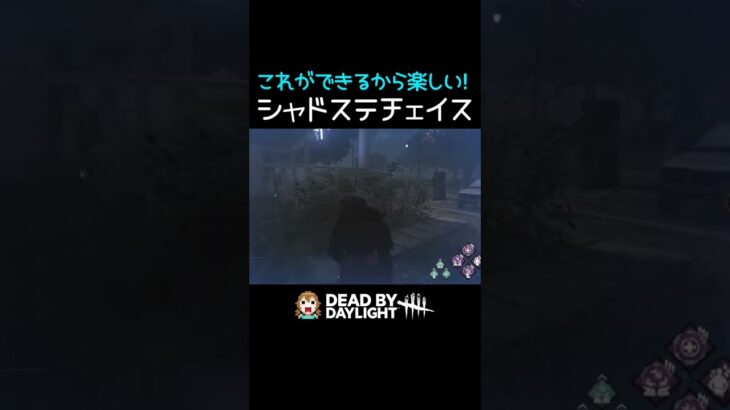 【DBD】これがシャドウステップチェイス #shorts