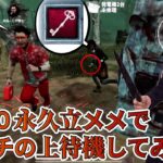 心音０永久立メメでハッチの上待機してみた結果【DBD モバイル】