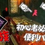 【DBD】初心者必見！｢血族｣に調整が入って神パークに！ #308【デッドバイデイライト】