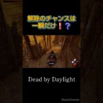 【DbD】設置の場所が上手いということですか❔＃Short