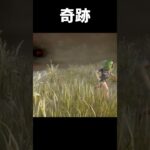 配信中に起こした奇跡【DBD】