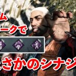 今までやったランダムパークで一番全てがハマってた試合【DbD】【ピッグ】