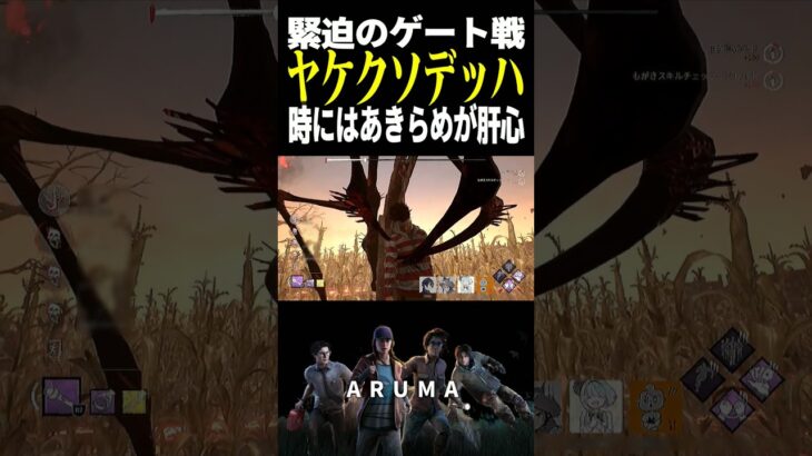 【DBD】ファイナルデッハ ナイトメアとのゲート戦（チェイス攻略 デッドバイデイライト Dead by Daylight デドバ ゲーム実況配信参加型live）