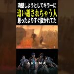 【DBD】肉壁しようとして追い越されちゃう人😨（チェイス攻略 デッドバイデイライト Dead by Daylight デドバ ゲーム実況配信参加型live）