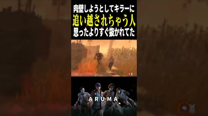 【DBD】肉壁しようとして追い越されちゃう人😨（チェイス攻略 デッドバイデイライト Dead by Daylight デドバ ゲーム実況配信参加型live）