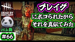 【よちよち歩きDBD】初心者なりにプレイグ立ち回り分かった気がする#66