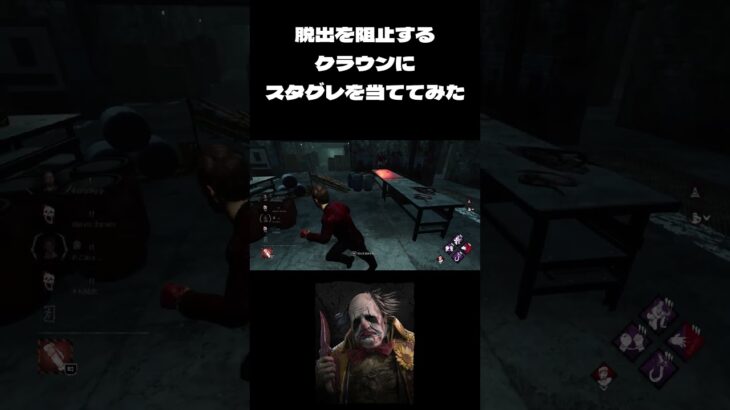 【DBD】クラウンとチェイス！スタグレ練習中のサバ初心者の末路【Dead by Daylight】#DBD #deadbydaylight #deadbydaylightsurvivor