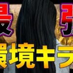 AFCが来たらこのキラーが環境キラーになります！【DBD/デッドバイデイライト】