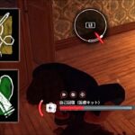 最速で自己治療できる針と糸が強すぎるので私が使い方を教えてあげます【DBD】