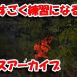 【DbD】初心者にはオススメだけど、使う時はちょっとコツがいる男【レイス】