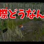 大会優勝キラーがチャッキーを使ってみた感想【DBD/デッドバイデイライト】