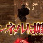 【DBD】レイスにトンネルされて諦めかけました【デッドバイデイライト】