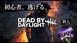 【DBD】初心者、深夜に逃げます。【デッドバイデイライト】