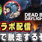 【DBD】初心者が参戦！初のコラボ配信だけど能力や固有パークも分からずやるぜ【デッドバイデイライト】#01