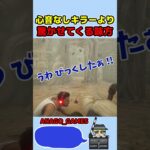 【DBD】キラーより怖い味方ｗｗ　#shorts  #dbd #デッドバイデイライト #anago_games