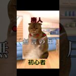 【猫ミーム】【DBD】初心者とゲーム廃人 in DBD#shorts #dbd #デッドバイデイライト #猫ミーム #catmemes