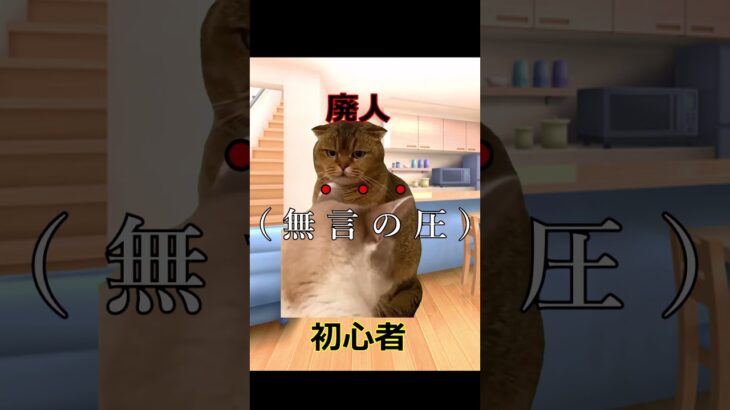 【猫ミーム】【DBD】初心者とゲーム廃人 in DBD#shorts #dbd #デッドバイデイライト #猫ミーム #catmemes