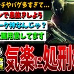 【DBD】カオスな環境…コレでたまには楽をしよう＆このパーク最高すぎる【初心者構成レイス】【デッドバイデイライト】