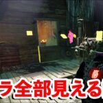 パーク組み合わせればこんなになんでも見えるのか…【DbD】【サバイバーVS鬼】