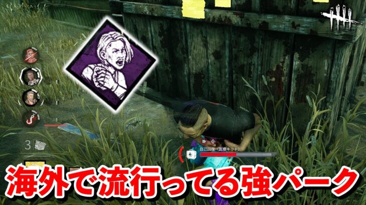 全然注目してなかったけど実は「起死回生」が強いらしい【DbD】【サバイバーVS貞子】