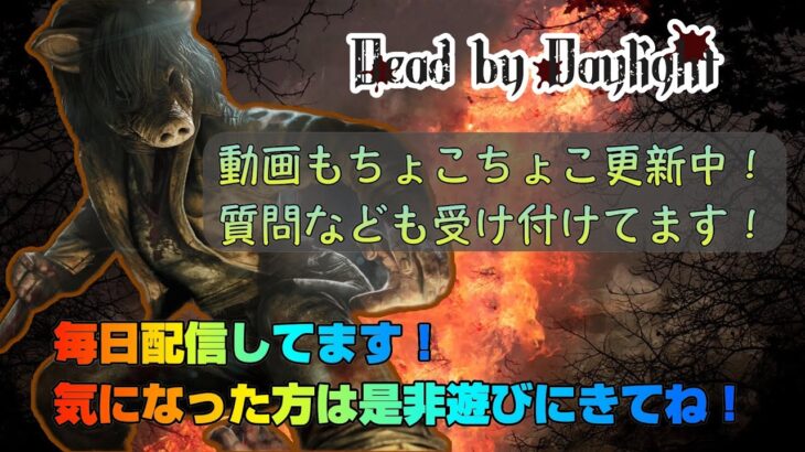 『DbD/参加型』初見さんも初心者さんも歓迎！配信ワイワイ盛り上げてくれる視聴者さん探してます！