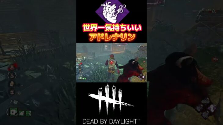 【DBD】アドレナリンとかいう神パークにサバイバーは魅了されちゃうんだ#shorts