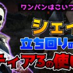 【DbD】シェイプ立ち回りの基本！ティア3のワンパンの使い方！マイケル立ち回り解説ファミリー・レジデンス【Dead by Daylight】【キラー】【ひなたんち】