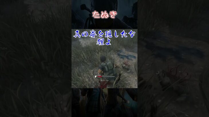 【ショート】たぬき【Dead by Daylight】#shorts #dbd #dbdshorts #デドバ #deadbydaylightsurvivor #デッドバイデイライト