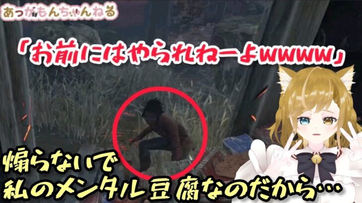 【 DBD 】 初心者 煽られても負けないで レイス  【 デッドバイデイライト 】