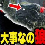 ダークロード攻略のカギは実はオオカミ君でした【DBD｜デッドバイデイライト】