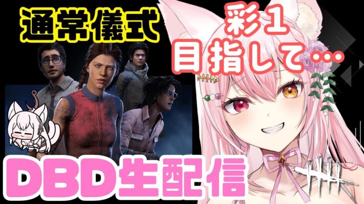 【DBD】通常儀式を楽しむ♡調整されるキラー＆パークに想いを馳せながら、ゆるっとランク上げデドバの雑談配信！！(サバイバー/Deadbydaylight )(新人Vtuber/鴇白こはく)