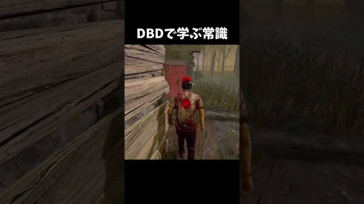 【DBD】dbdで学ぶ常識マナー編【dbd/デッドバイデイライト】　#解説