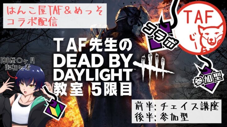 【コラボ】はんこ屋TAF先生によるDBD初心者教室【5限目】