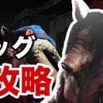 【夫婦でDBD #62】 ピッグの性能と攻略方法を解説しながら2人で脱出を目指す！！