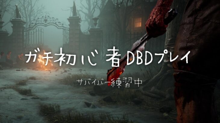 【DBD】初心者DBD配信です