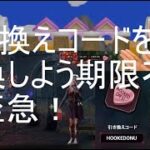 DBD】引き換えコード交換しよう【デッドバイデイライト】