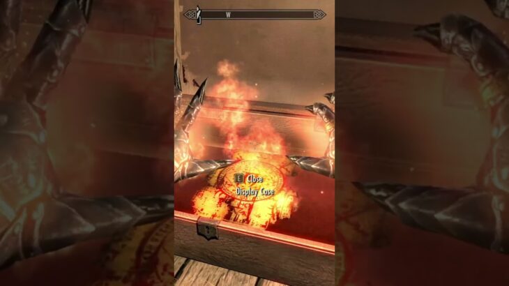 This Skyrim Portal Book Becomes a BUCKET When Hit With Fire!