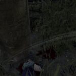 DBD　キラー